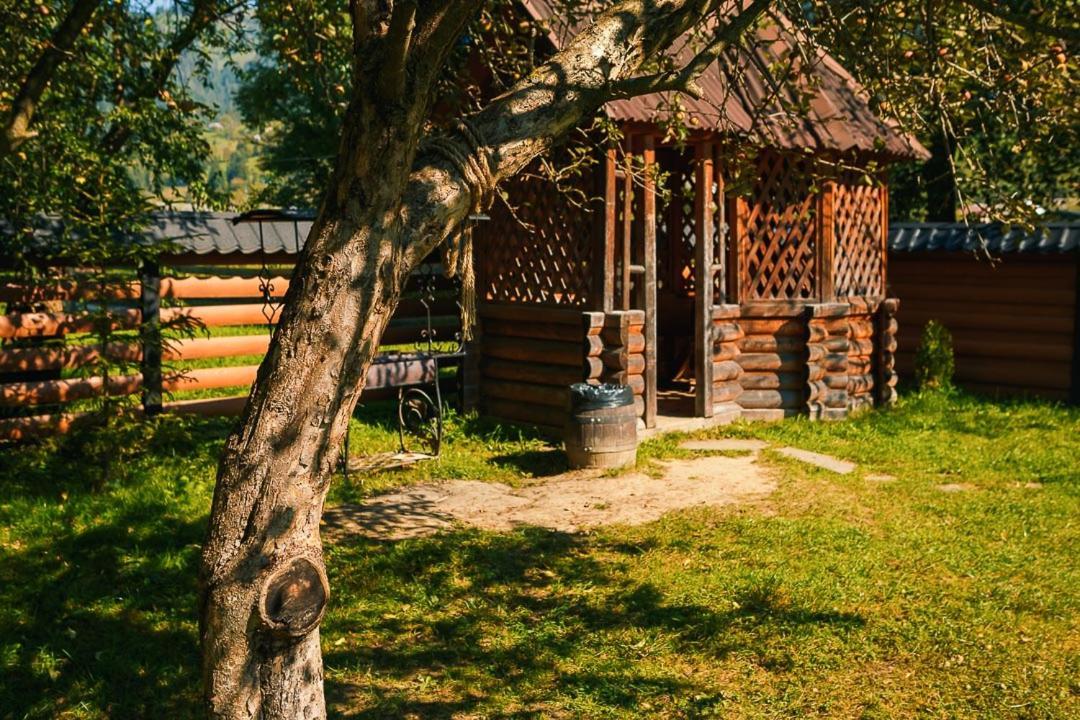Отель Gorycvit Верхний Ясенов Экстерьер фото